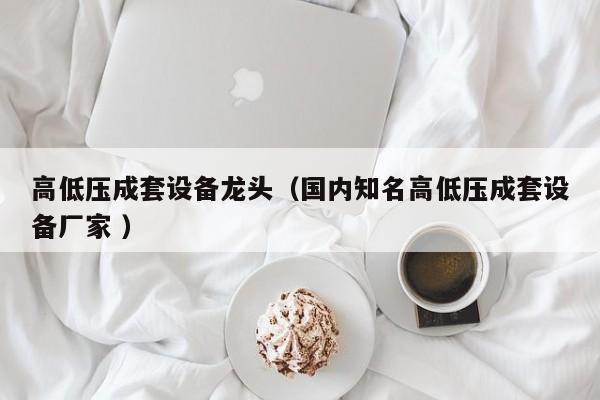 高低壓成套設(shè)備龍頭（國內(nèi)知名高低壓成套設(shè)備廠家 ）